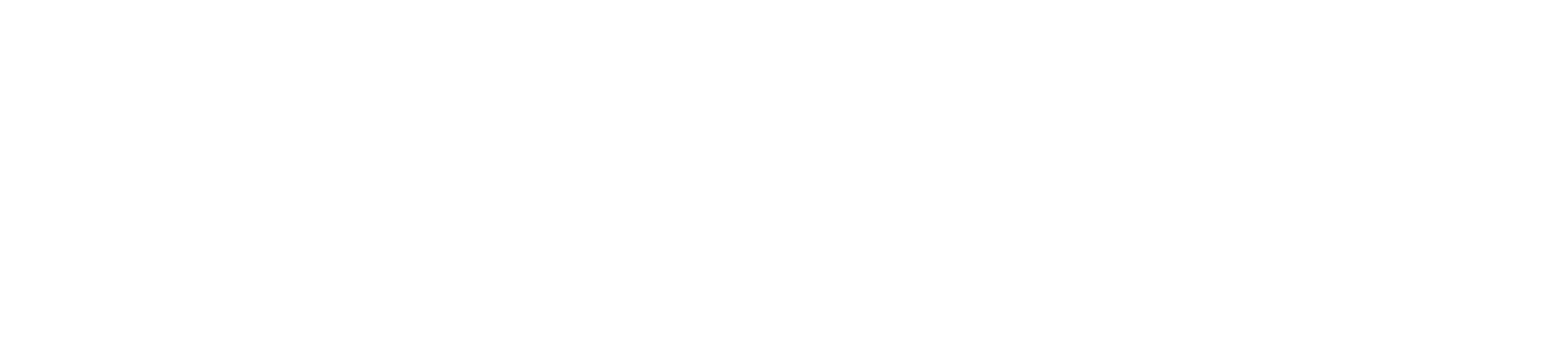 logo_weiss_links